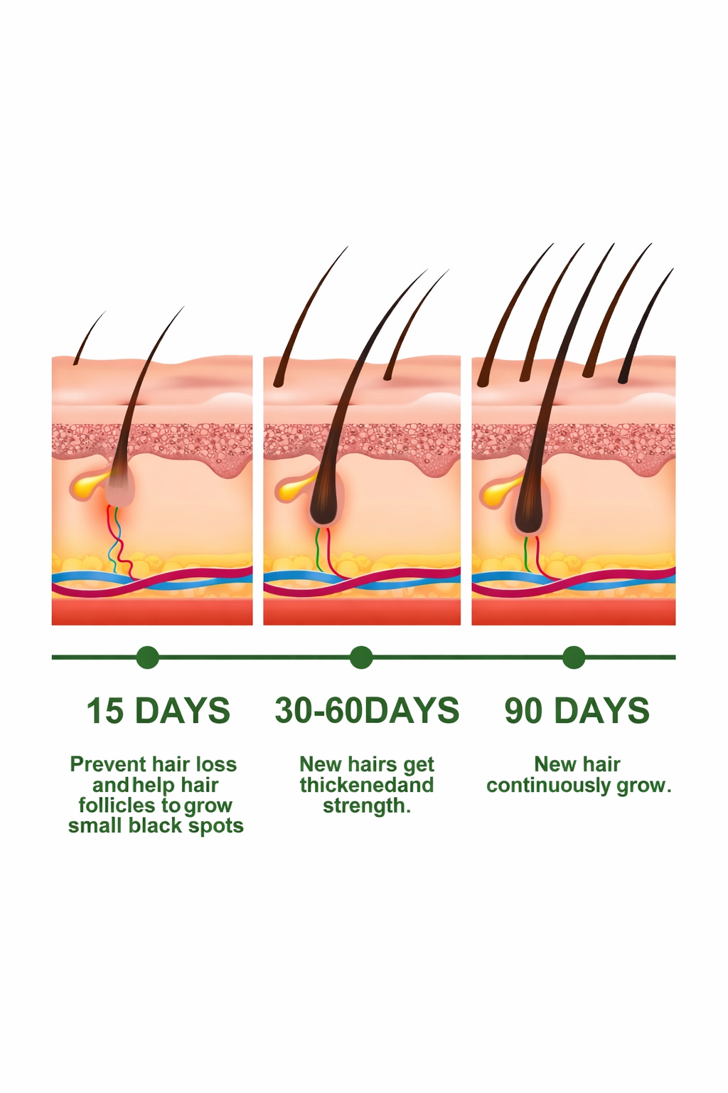 Rosemary Hair Care Essential Oil 30ml